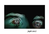 Auge um von jeph 2017 print pf original 2von2 -600x400mm Nr. P9746700EP88H - Kopie.jpg